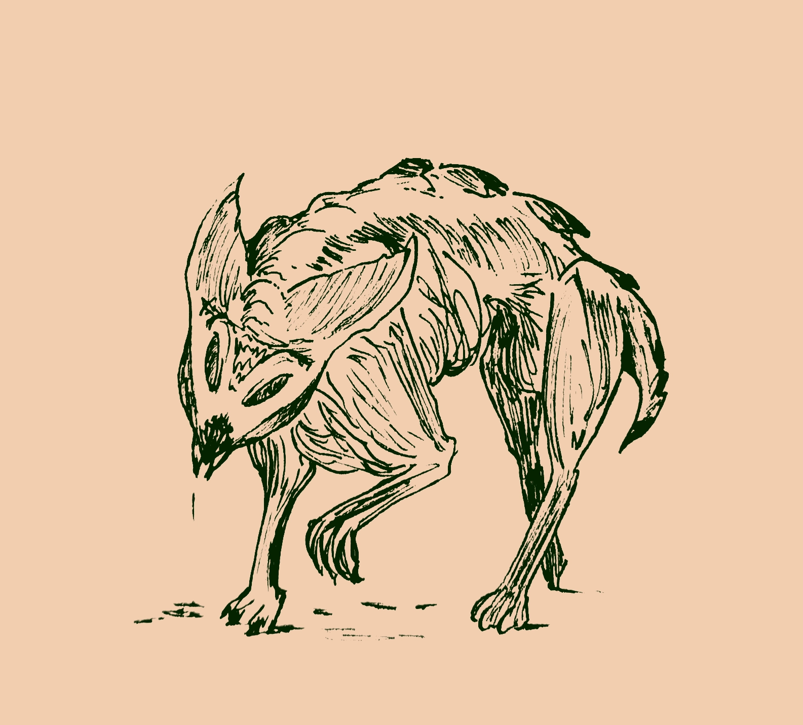 pen and paper drawing of a doglike creature with two large fangs, large ears, and a spiny back