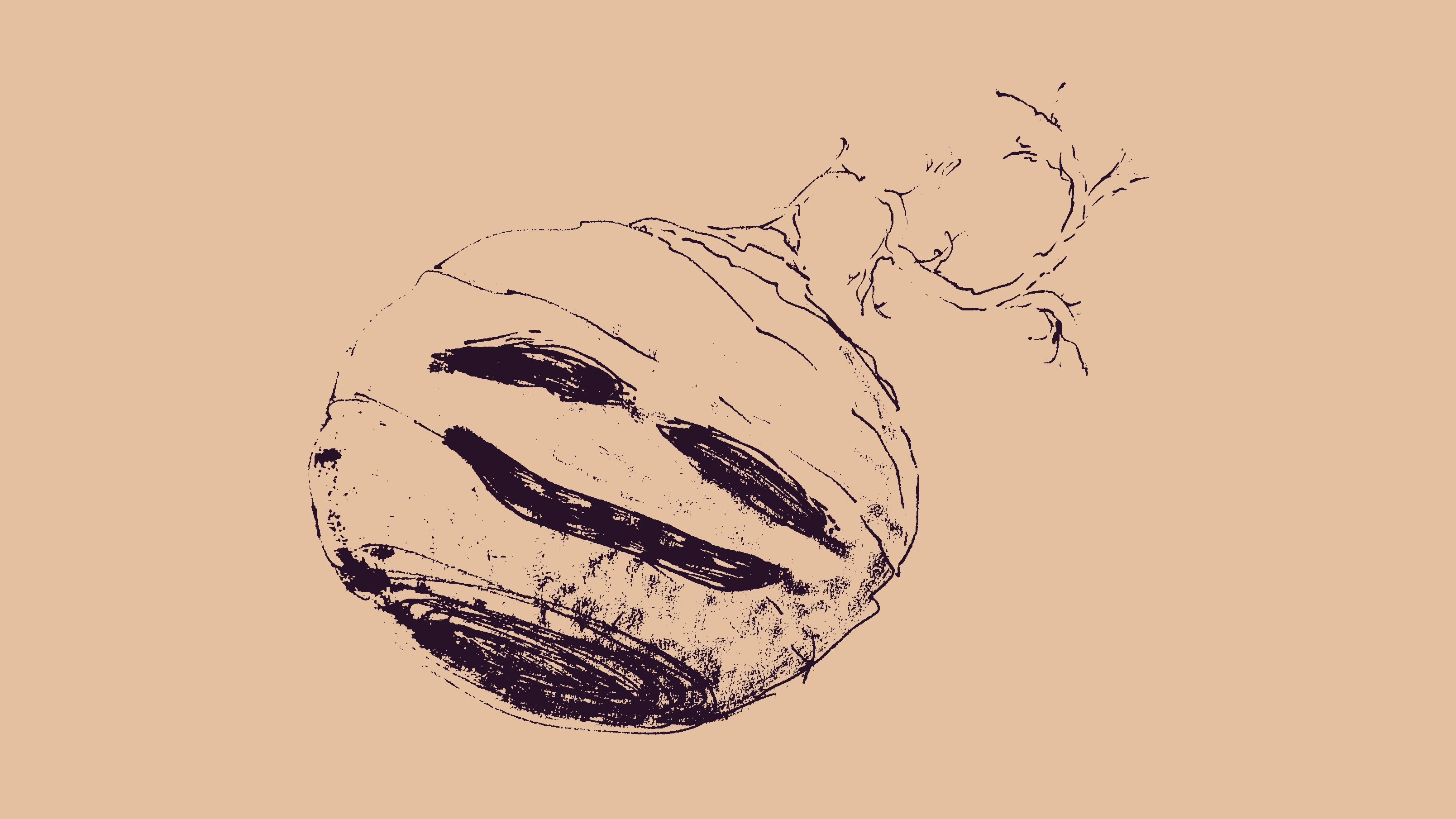 a sketch + rough inkwash of a dirty turnip jackolantern. it's a bit tilted and smiling