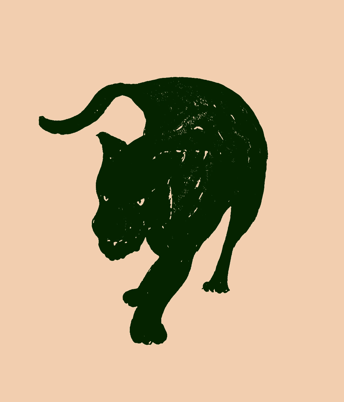 drawing of a black panther