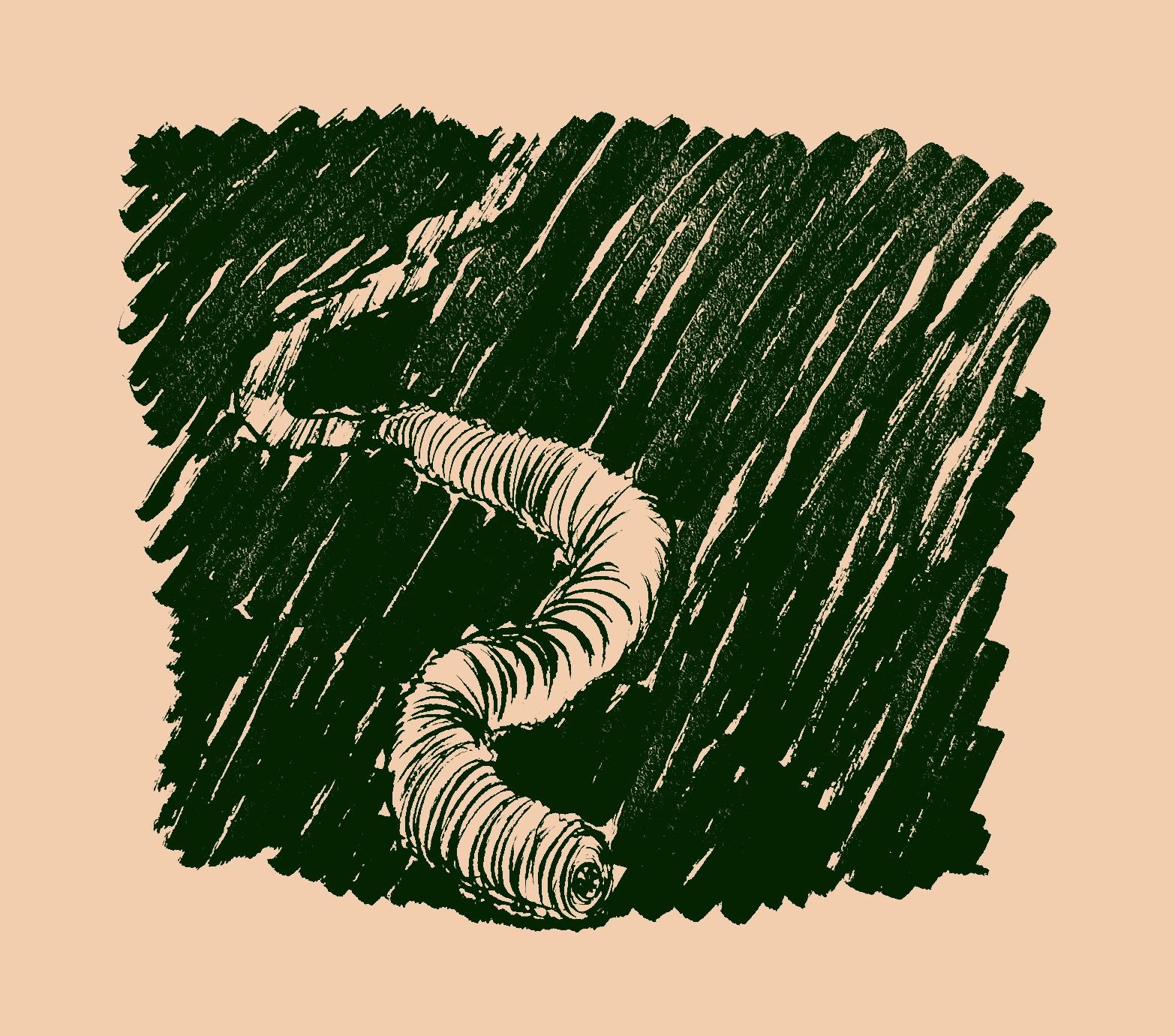 Drawing of a ringed worm burrowing in the darkness