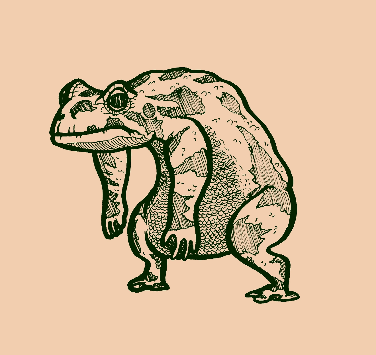 Drawing of a large, hunched frogman with large spots covering its body