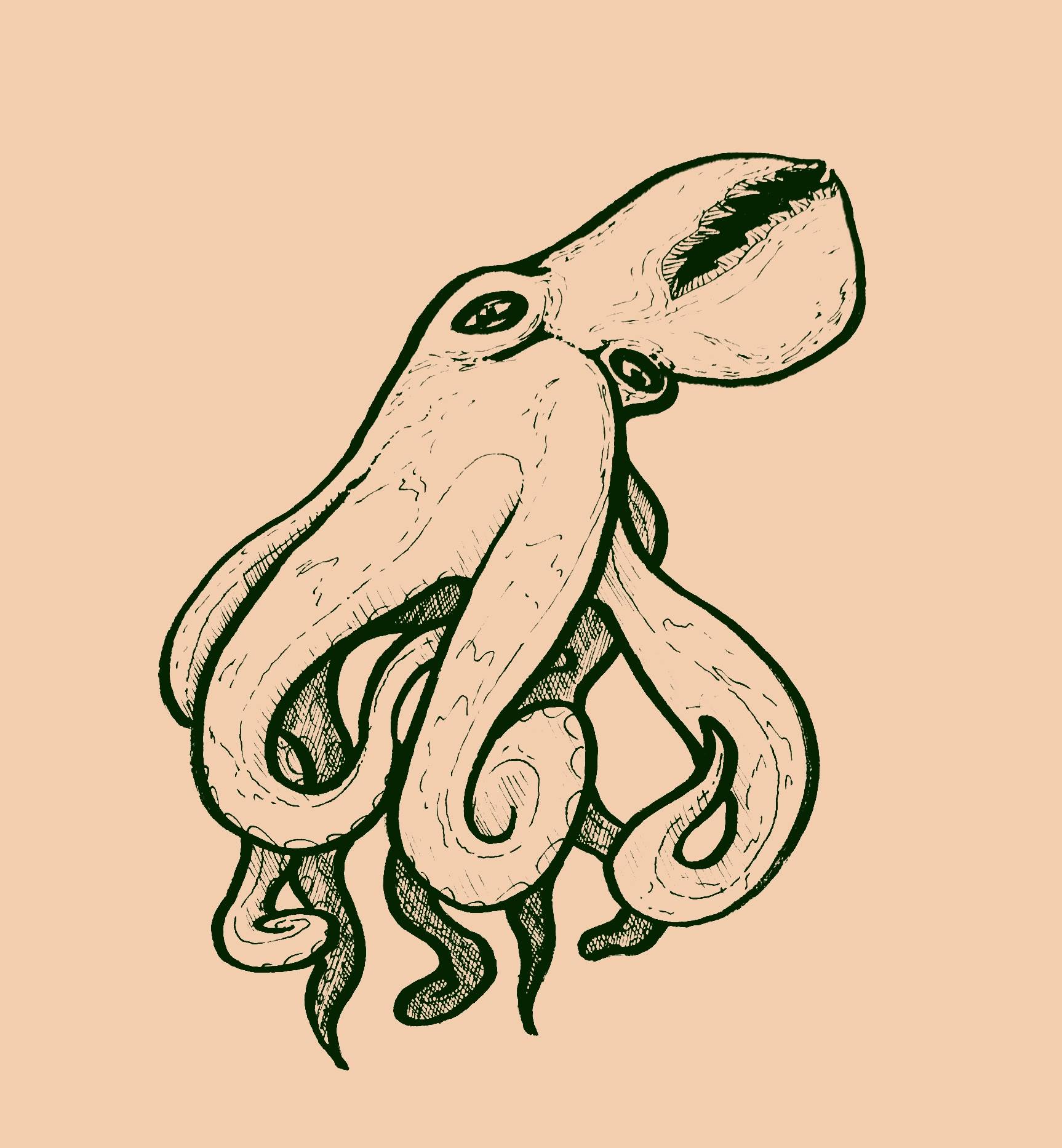 Drawing of a giant octopus where the head/stomach area is split open into a toothy mouth