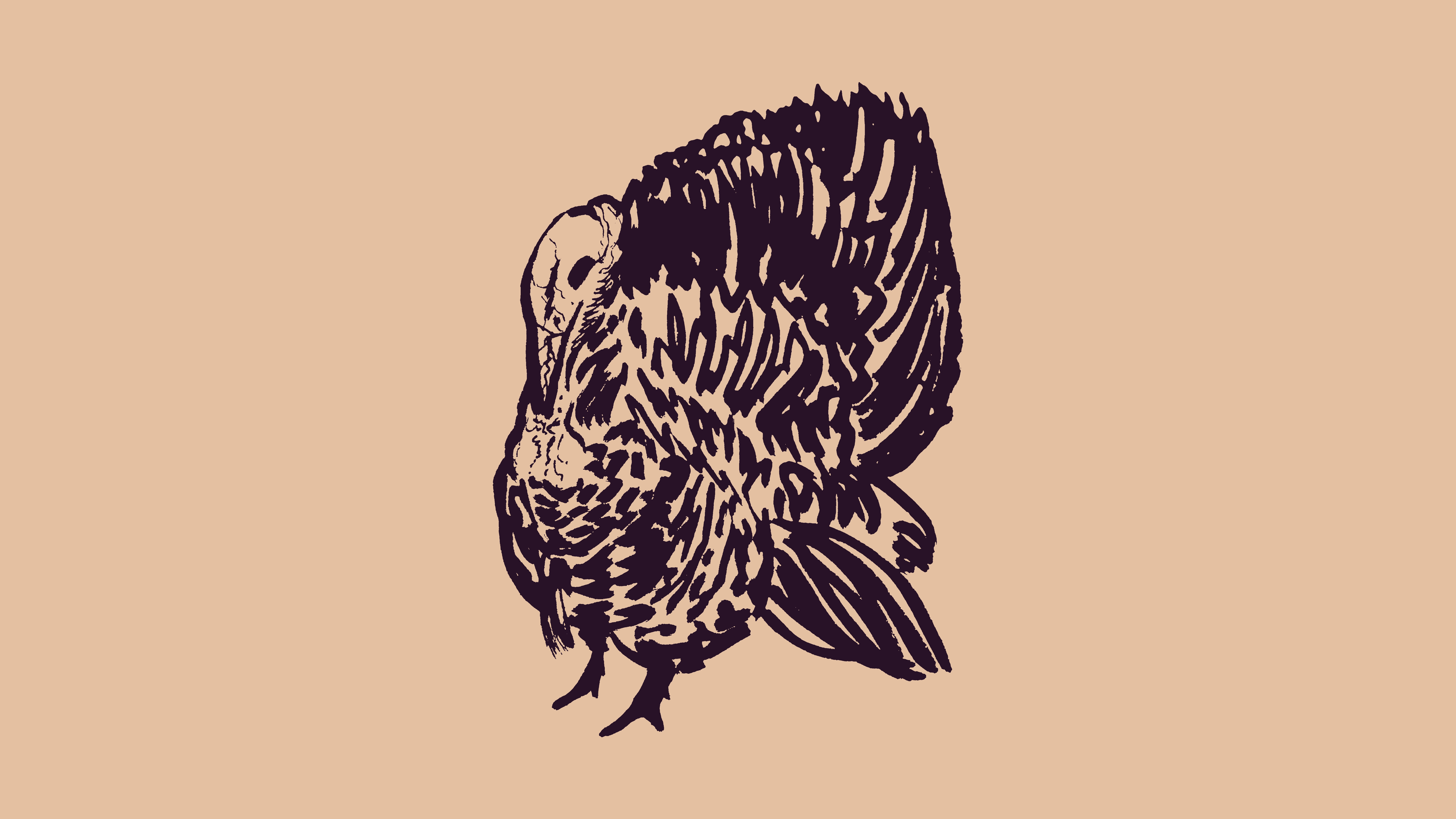sketch of a turkey